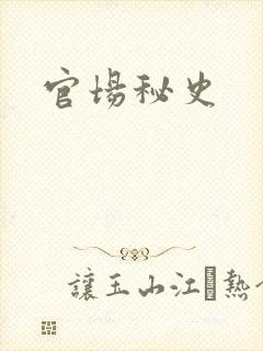官场秘史