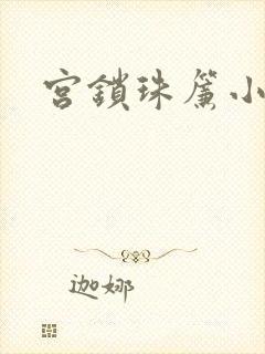 宫锁珠帘小说