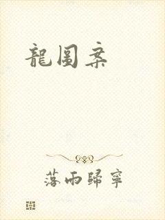 龙图案