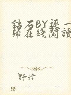 钻石BY逐一而归在线阅读