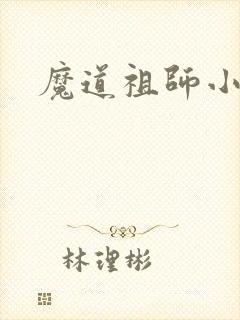 魔道祖师小说封面