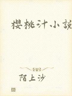 樱桃汁小说