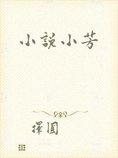 小说小芳封面