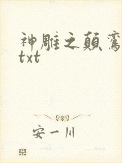 神雕之颠鸾倒凤txt