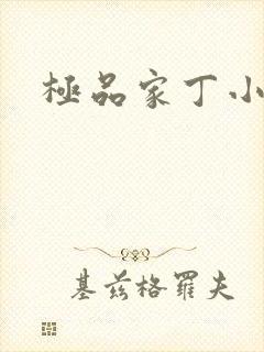 极品家丁小说封面