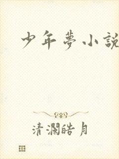 少年梦小说封面