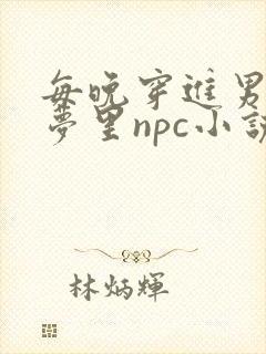 每晚穿进男神的梦里npc小说