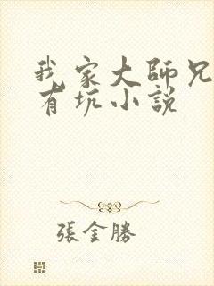 我家大师兄脑子有坑小说封面