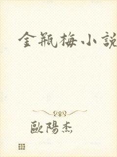 金瓶梅小说在线