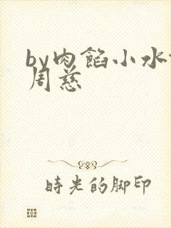 by肉馅小水饺周慈