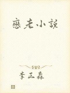 恋老小说