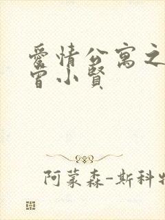 爱情公寓之极品曾小贤