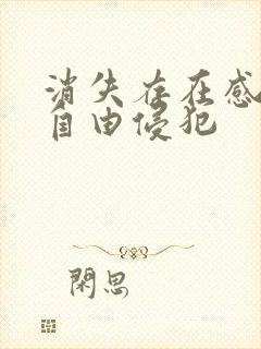 消失存在感消失自由侵犯封面