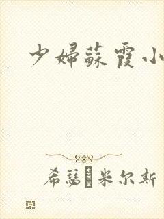 少妇苏霞小说