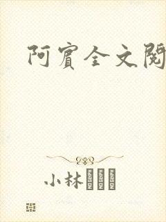 阿宾全文阅读封面