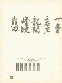 巅峰龙主丁长顺田晓兰免费阅读封面