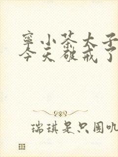 宁小茶太子殿下今天破戒了吗免费阅读封面