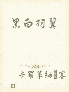 黑白羽翼