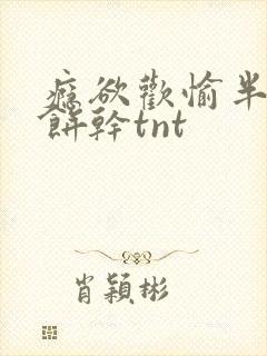 瘾欲欢愉半块小饼干tnt