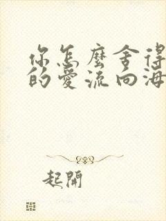 你怎么舍得让我的爱流向海