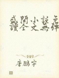 盛开小说免费阅读全文无弹窗