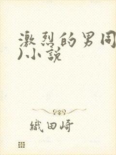 激烈的男同(h)小说