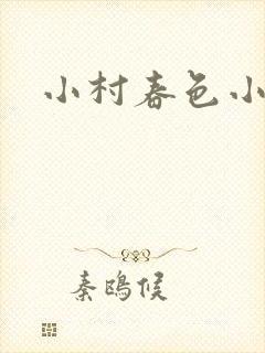 小村春色小说封面