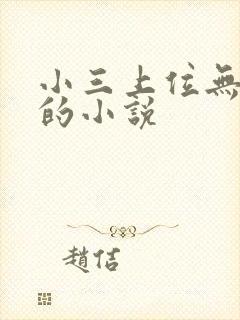 小三上位无三观的小说