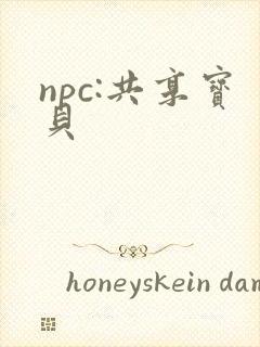 npc:共享宝贝