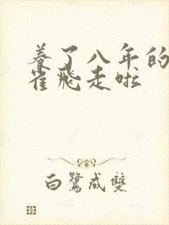 养了八年的金丝雀飞走啦封面