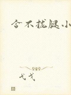 合不拢腿小说