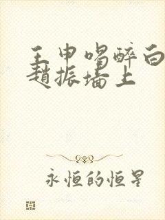 王申喝醉白洁被赵振墙上