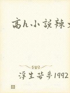 高h小说辣文