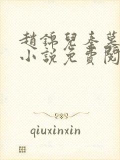 赵锦儿秦慕修的小说免费阅读全文