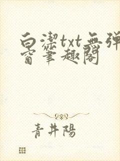 白洁txt无弹窗笔趣阁