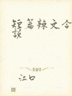 短篇辣文合集小说封面