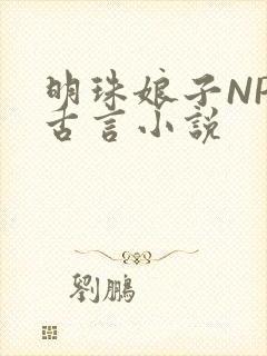 明珠娘子NPC古言小说