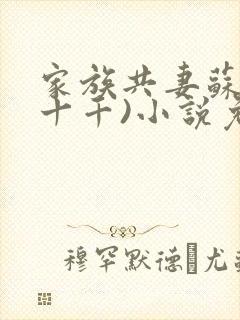 家族共妻苏苏(十千)小说免费