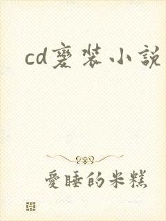 cd变装小说