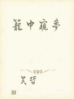 笼中窥梦封面