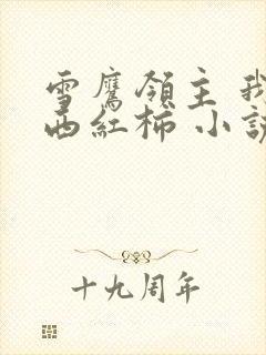 雪鹰领主 我吃西红柿 小说