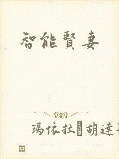 智能贤妻