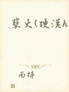 孽火(硬汉h)