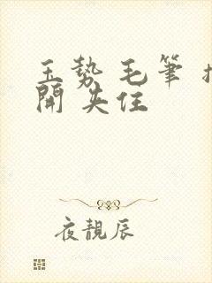 玉势 毛笔 撑开 夹住封面