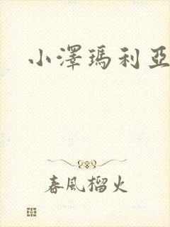 小泽玛利亚作品封面