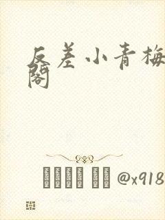 反差小青梅笔趣阁