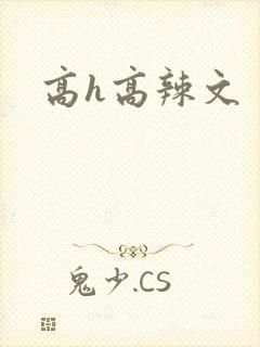 高h高辣文