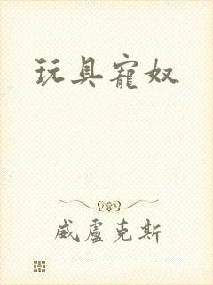 玩具宠奴