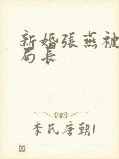 新婚张燕被两个局长