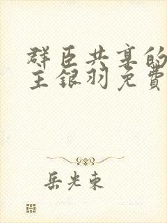 群臣共享的小公主银羽免费阅读封面